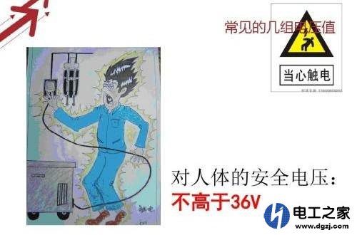触电对人体造成伤害的是电流还是电压