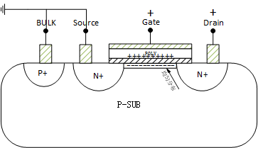 poYBAGPt4MWAAGR0AAARv25m25A795.jpg