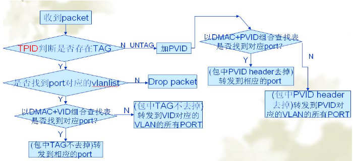 二层交换机的转发过程描述